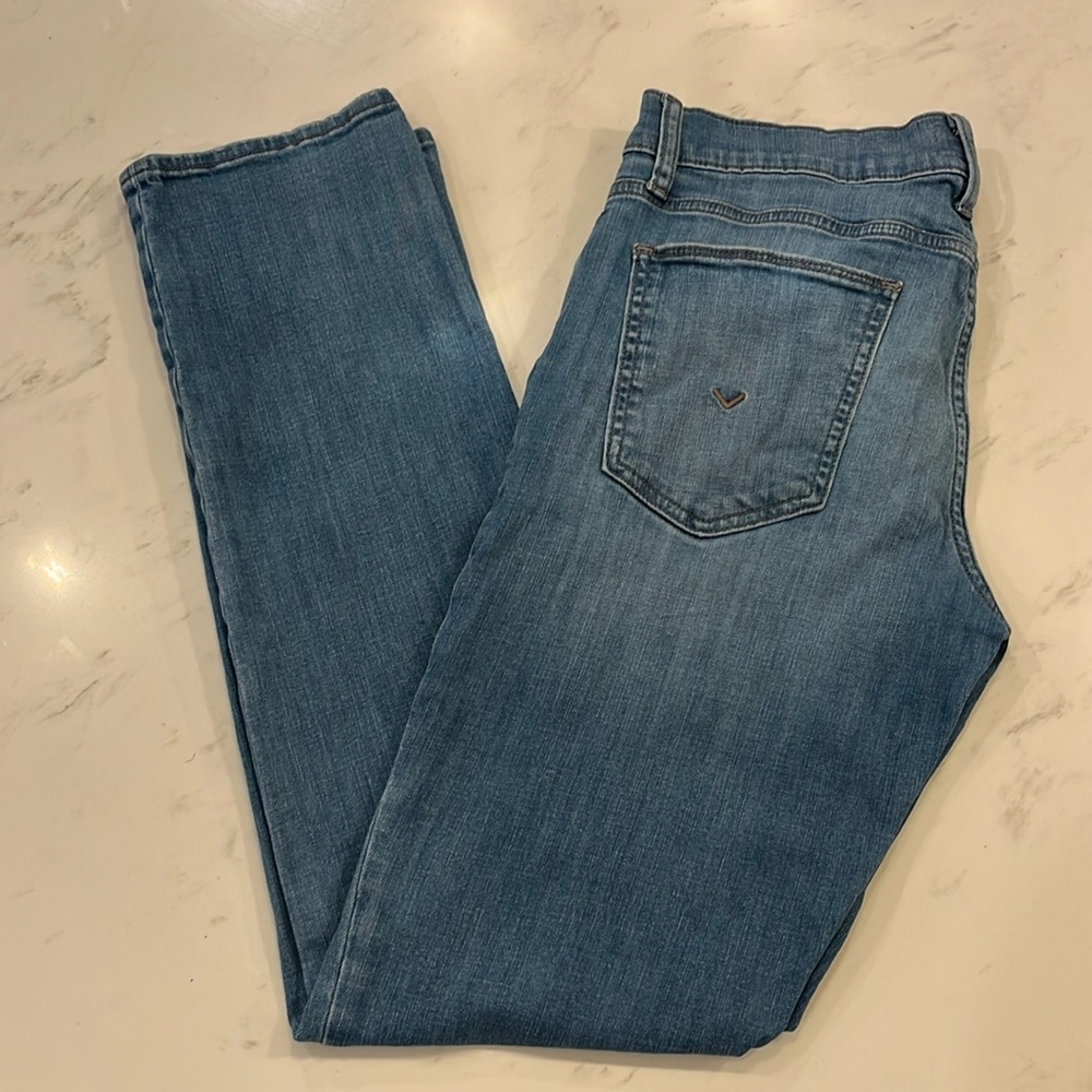 Hudson Men’s Blake Slim Straight 31